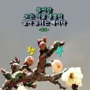 은고개로 이미지