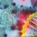 KIND MOTORS 이미지