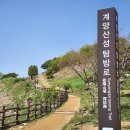 3월27일(수야) 3월 끝자락 계양산 담아볼까요 이미지