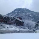 the조은부동산중개 이미지