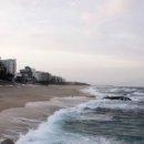 예향의 숲 이미지