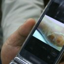 분당경희 한약 약국 이미지