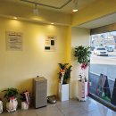 라이프독 강릉점 24시 강아지분양 고양이분양 이미지