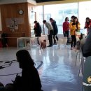 멍멍이다방 네이버블로그