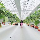 알로큰농장 이미지