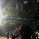 CW-0109-01 | 입으면 10배 잘생겨지는 봄 남친룩 코디 5가지 추천해줄게요!