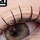 SOL NAIL 이미지