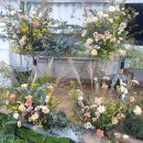 힐링원예 가드닝 이미지