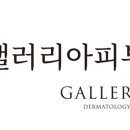 갤러리아피부과의원 네이버블로그