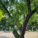 함께펜션 이미지