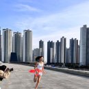 김민지 카카오 검색결과