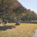 소양고요 이미지