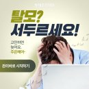 하라힐즈 이미지
