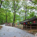 창원불모산동사지삼층석탑 | 밀양 표충사 천년 고찰과 붉은 배롱나무 위치 입장료 주차정보