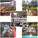 일성상회 이미지