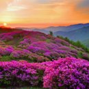 백상약국 이미지