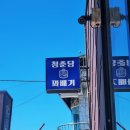 청춘당 | 대구 하빈에 있는 청춘당 꽈배기 후기