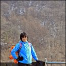 도봉초교 이미지