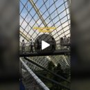 지에스25 도곡렉슬점 이미지