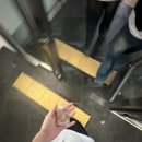 제30회 부산무용제 | [BIFF] 제30회 부산국제영화제 자원봉사 후기 (홍보팀)