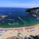 투썸플레이스 송도해수욕장점 이미지