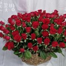 샤론꽃방 네이버블로그