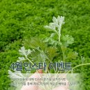 싸리재 | 싸리재 4월 SNS 구매후기 이벤트! 최대 2만원의 적립금을 드려요~