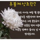 일심장례토탈 이미지