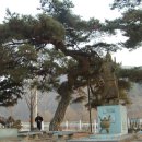 성대초등학교 이미지