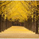 영동신경정신과의원 이미지