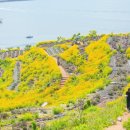 지세포로 이미지