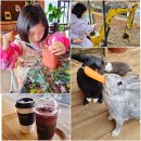 헤이리농장 이미지