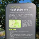 신라극동아파트경로당 | 2025년 6월 매봉산 자락길_국립극장~다산팔각정~한남테니스장~매봉산 자락길(한남동 방향)~옥수동 굴다리