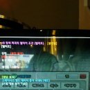 청색자색 이미지