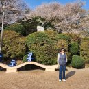 강남정공원 이미지