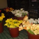 형만농장 이미지