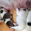 곰순이PC 네이버블로그