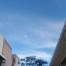 온후 Daum카페