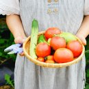급수시설(자여농협) - 정부지원시설 | 주말농장 분양가격 임대 작물추천 준비물 총정리