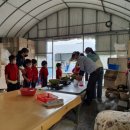 동초병설유치원 이미지