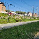 경안천 마평동 이미지