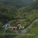 소백산자락길캠핑장 | 단양 보발재 전망대 눈이 즐거운 볼거리 단풍 명소