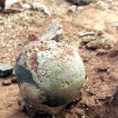 공룡주먹 - 구미시 도봉로 76-55 | 공룡주먹