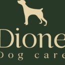 디오네 도그케어 이미지