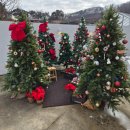 세종카써비스 | [세종맛집]크리스마스 감성 가득! 🎄 눈과 입이 황홀한 브런치 찐맛집 '이룰' 솔직 후기 💕