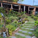 정원펜션 | [내돈내산] 무주 숙소 - 흙집 정원 펜션 &#39;라제통문&#39; 솔직후기