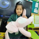 💙Animals&amp;Reading Little boy blue&amp;The alligator song💙 이미지