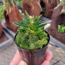 횃불농장 이미지