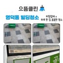 (주)디에스약품 | 용인 기흥구 흥덕 영덕동 상가 빌딩 빌라 계단 청소 관리 후기 [정기청소 전문]