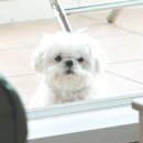 [공지] 5월은 푸르르르(0510-0521)
